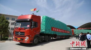 甘肃对 '一带一路' 沿线国家贸易额大幅增长，运输通道作用凸显