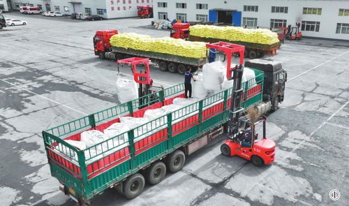 满负荷生产化肥助春耕 运输保障筑牢丰收根基